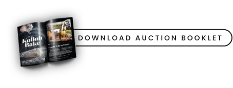 Download Auction Book